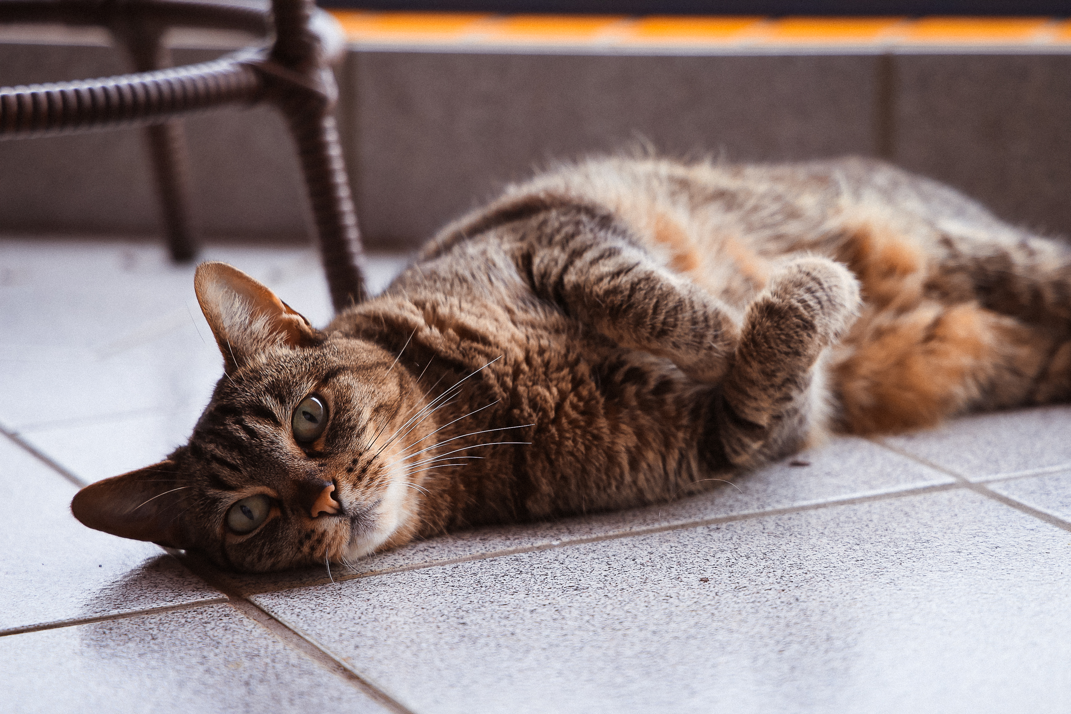 Olga, uma senhora blasé